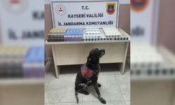 Kayseri'de 560 paket kaçak sigara ele geçirildi