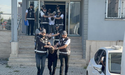 Kocaeli'de bombalı saldırının altından 3 milyonluk haraç çıktı