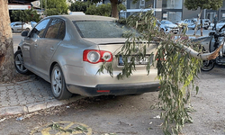 Mersin'de kırılan ağaç dalı otomobilin üzerine devrildi