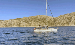 Muğla'da 80 düzensiz göçmen yakalandı