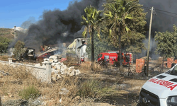 Muğla'da kereste deposunda yangın çıktı