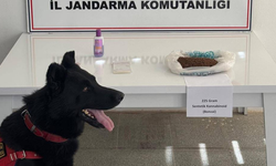 Muş'ta madde operasyonu: 2 gözaltı