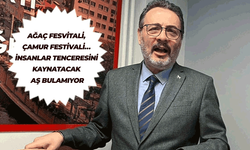 Özcan ilçe belediye başkanlarını eleştirdi