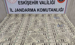 Piyasaya sürülmeden yakalandı: Eskişehir'de 1 milyon TL'lik sahte dolar