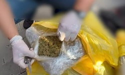 Sakarya'da 11 kilo skunk ele geçirildi, 5 şahıs tutuklandı