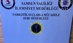 Samsun'da zehirli madde 2 tutuklaması