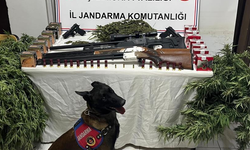 Şanlıurfa'da 1 kilo 508 gram kubar esrar ele geçirildi: 3 gözaltı