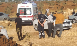 Şanlıurfa'da otomobil devrildi: 1 ölü 3 yaralı
