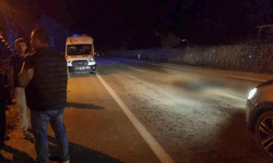 Sinop'ta otomobilin çarptığı yaşlı adam yaşamını yitirdi