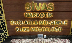 Sivas'da evinde 795 adet zehirli hap ele geçirildi, tutuklanarak cezaevine konuldu