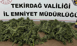 Tekirdağ’da polis baskını: Uyuşturucu maddeler ele geçirildi