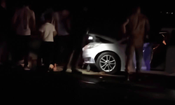 Van'da sürüye çarpan araç 8 koyunun telef olmasına neden oldu