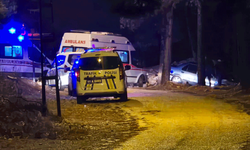 Bilecik'te meydana gelen trafik kazasında 2 kişi yaralandı