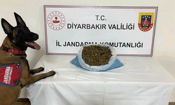 Diyarbakır'da yaskalı madde operasyonu: 13 şahıs hakkında işlem