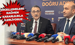 Dönmez: İddialar asılsız