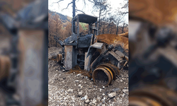Eskişehir'de 10 şehidin verildiği orman yangınının son izi de kaldırıldı