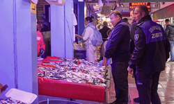 Eskişehir'de balık satış yerlerine ortak denetim