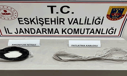 Eskişehir'de kaçak kazı operasyonu: Patlayıcı madde ile yakalandılar