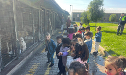 Minikler Hayvanları Koruma Gününü barınakta kutladı