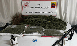 Şanlıurfa'da yasaklı madde operasyonu: 1 gözaltı