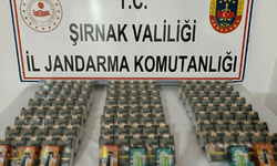 Şırnak'ta jandarmadan kaçakçılık operasyonu: 98 şüpheli hakkında yasal işlem yapıldı