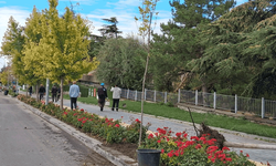 Sivrihisar’da yeşil alanlar canlanıyor