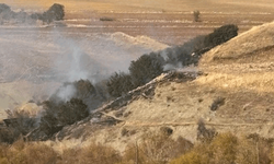 Adıyaman'da ormanlık alanda yangın