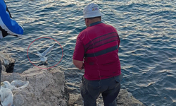 Antalya'da oltaya balık yerine martı takıldı