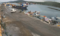 Aydın'da direksiyon hakimiyeti kaybolan araç denize uçtu