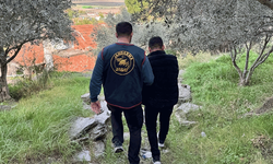 Aydın'da firari şahıs ormanlık arazide saklanırken yakalandı