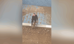 Batman'da tilkinin kafası bidona sıkıştı