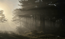 Bozdağ zirvesindeki sis manzarası hayran bıraktı