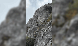 Burdur'da mahsur kalan keçiler ekipler tarafından kurtarıldı