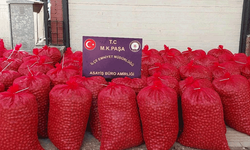 Bursa'da hırsızlar 46 çuval ceviz ile yakalandı