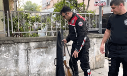 Bursa'da 'huzur' uygulamasında bir şüpheliden av tüfeği çıktı