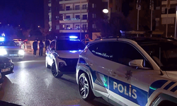 Bursa'da silahını göstererek bekçileri tehdit etti