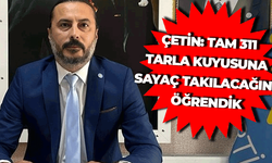 Çifteler’de çiftçi alarmda