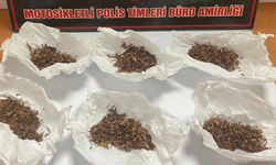 Edirne'de polis uyuşturucuya bulanmış tütün ele geçirdi