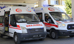 Elazığ'da üzüm almaya gelen nakliyeci hayatını kaybetti