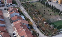 Eskişehir’de çöplüğü 15 Temmuz Şehitleri Fidanlığı'na çevirdi