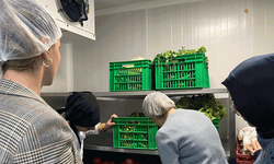 Eskişehir’de GSB yurtlarında hijyen denetimleri hız kesmiyor