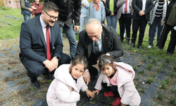 Eskişehir’de safran üretimi birincilik yolunda