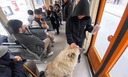 Eskişehir’de tramvaya binen sevimli köpek ilgi odağı oldu