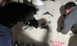 Hatay'da kümeste yasaklı madde ve para bulundu