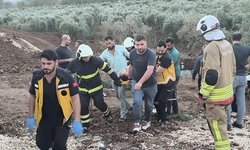 Hatay'da otomobil  zeytin bahçesine daldı