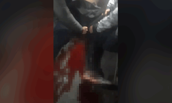 İstanbul'da bıçaklı kavga : 1 yaralı