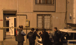 İstanbul'da yüksek doz ilaçlama nedeniyle 7 kişi zehirlendi