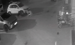 Kastamonu'da sokak köpekleri park halindeki aracı parçaladı