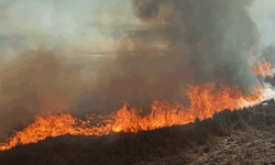 Konya'da sazlıklar alev alev yandı