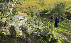 Manisa'da trafik kazası: 1 ölü